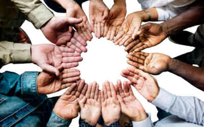Article 1