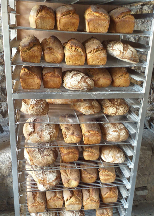 distribution pain Photo d'une fournée de pain au levain