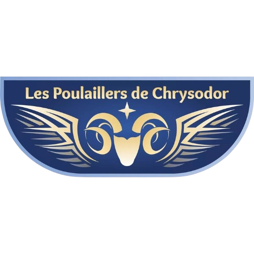 Logo de Chrysodor, Ferme en agriculture biologique.<br />
Distributeur d’œufs sur la ferme accessible 24h/24.<br />
Elevage de poules pondeuses et de brebis allaitantes.