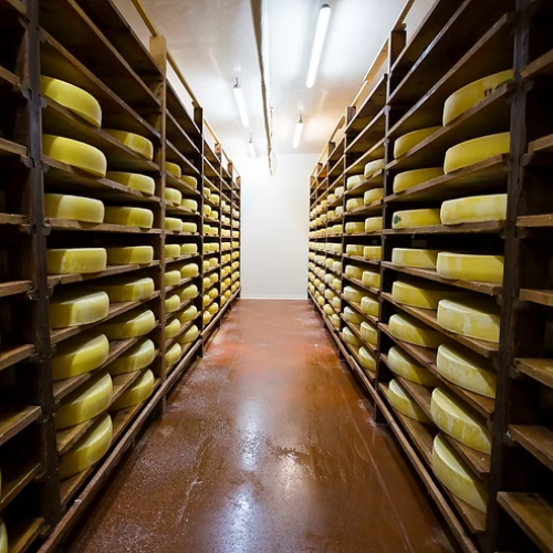 Photo de la fruitière de Poncin, fromagerie de la Vallée de l'Ain