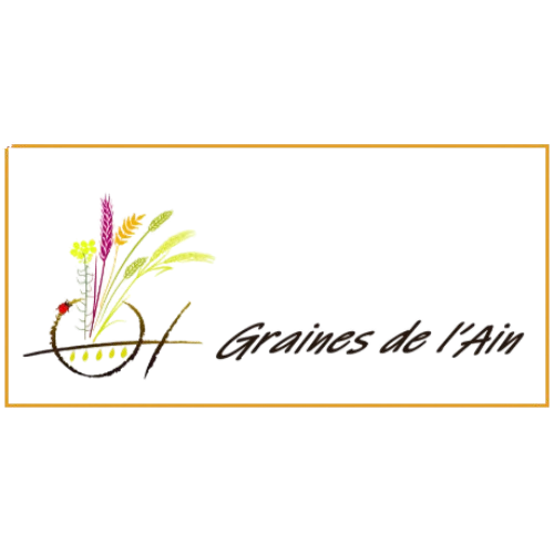 Logo Graines de l'ain, Farines bio de variétés anciennes