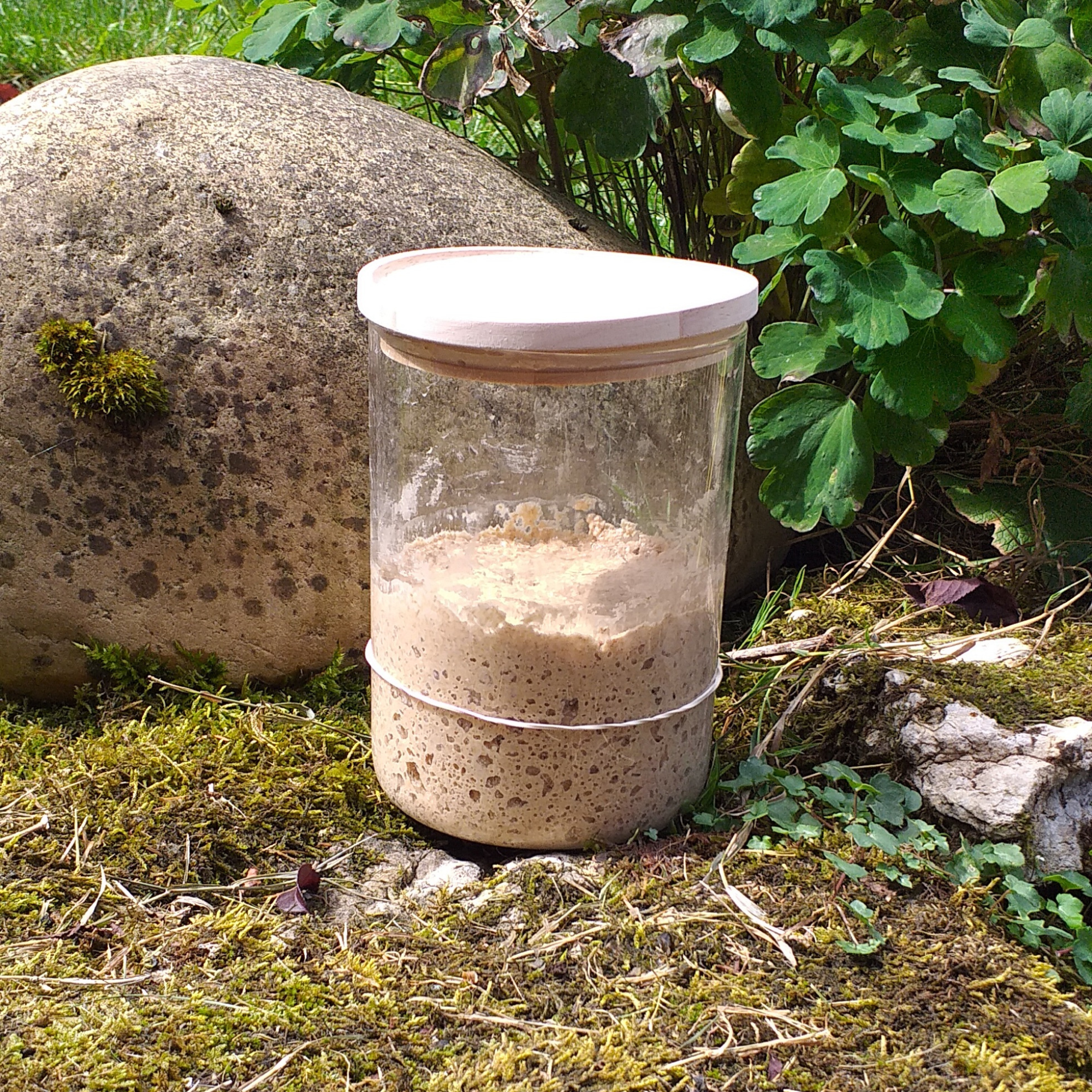 photo du Levain Lakota