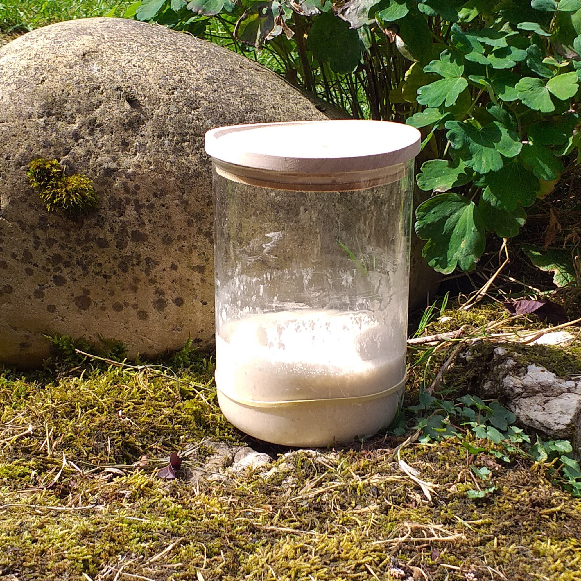 photo du levain Enkhetuya