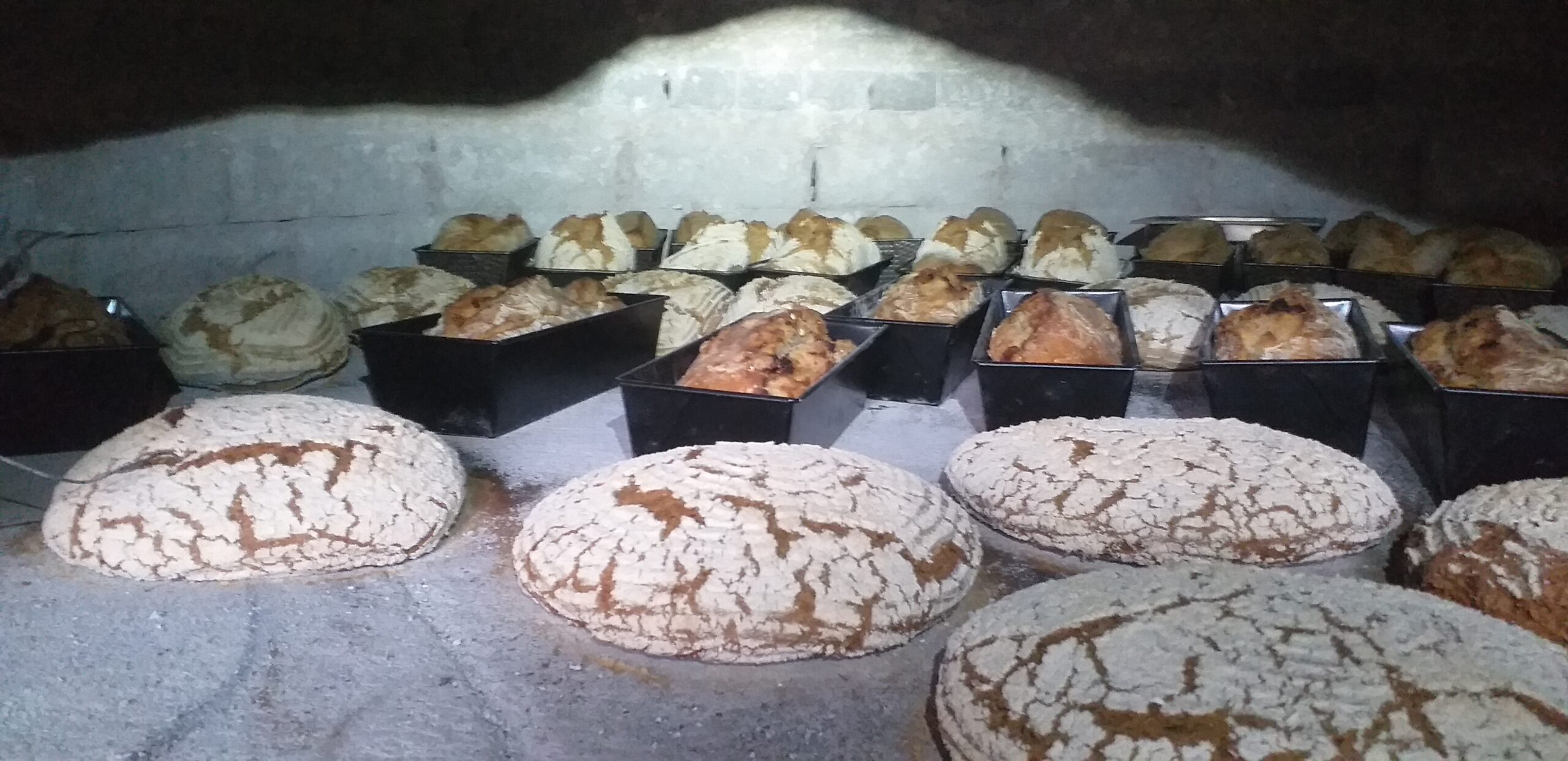 photo des pains cuits dans le four à bois du village de l'Abergement de Varey 01