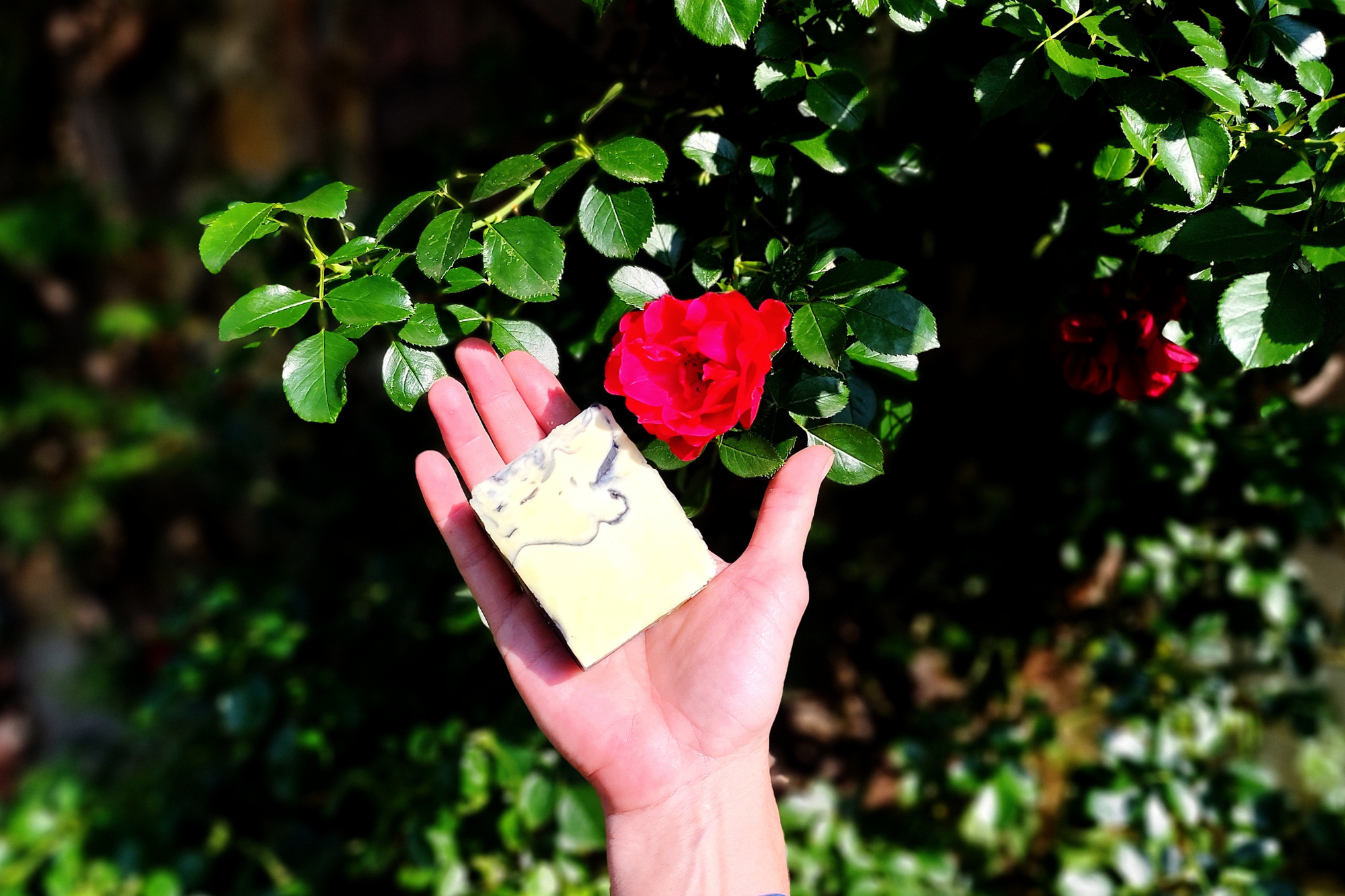 photo de savon bio et artisanaux naturels toketa